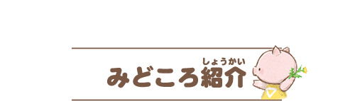 みどころ紹介