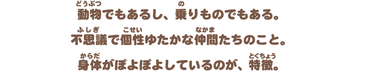 アニマルバスのしくみ