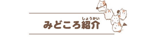 みどころ紹介