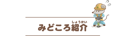 みどころ紹介