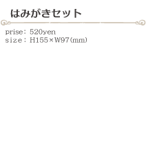 はみがきセット size:H155×W97(ミリ)価格:520円