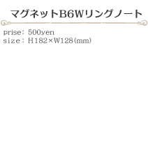 マグネットB6Wリングノート size:H182×W128(ミリ)価格:500円